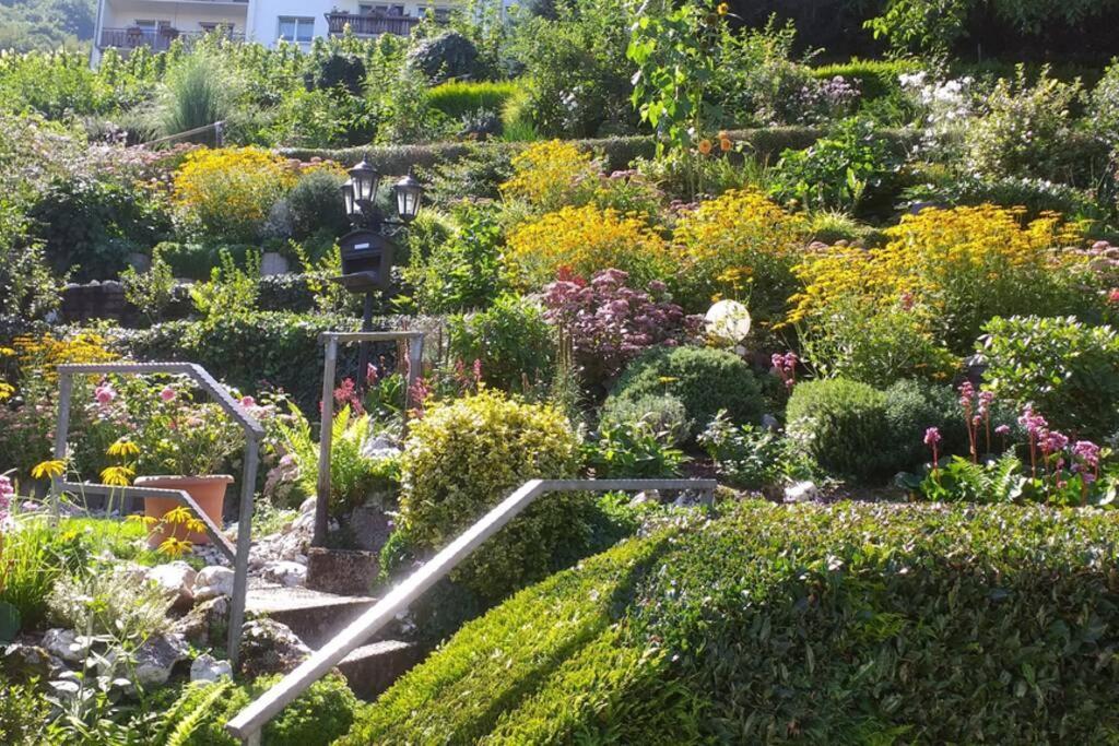 Haus Weingarten Kövenig エクステリア 写真